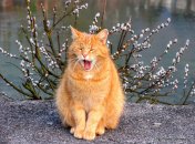 Как меняется погода в ближайшие дни