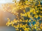 Пасмурность, дожди и даже мокрый снег: появился "не весенний" прогноз погоды на 6 апреля