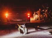 Украинские воины