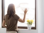 Идеально чистые окна