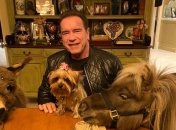 Шварценеггер опублікував кумедне відео про миття рук