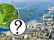 На Дніпропетровщині нашестя небезпечних комах