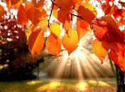 В Украину возвращается Бабье лето