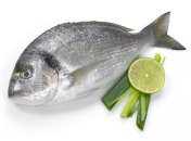 Дорада в детском питании