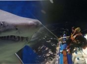 "Русофобия - тренд": российскую экспедицию атаковали акулы, судно утонуло (фото)