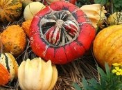 На Закарпатье Хэллоуин официально стал выходным