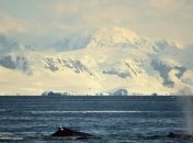 Глубже только в океанах: побережье Мертвого моря более не самая низкая точка на суше  