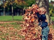 Бабине літо 2021