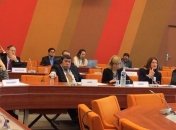 Нардепа от БПП избрали главой комитета ПАСЕ по культуре