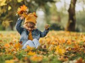 Какой в этот день праздник - предпразднство Рождества Пресвятой Богородицы