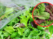 Це питання дослідили вчені