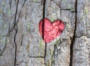 Практические советы разойтись безболезненно