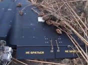 БПЛА, який знайшов фермер