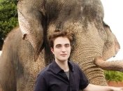 Роберту Паттинсону – 33: TОП 5 лучших фильмов актера