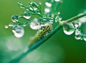 19 июля. Приметы дня