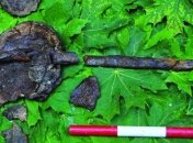 В Швеции найдены древние насаженные на колья черепа