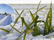 Снег на поле