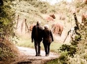 День бабушек и дедушек: в Ватикане установили новый праздник