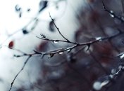 Прогноз погоды в Украине на 19 марта: ухудшение погодных условий