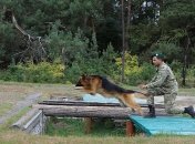 Чемпионат Госпогранслужбы по дрессировке: кто победил (Фото, Видео)