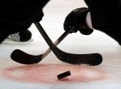 Хоккей. Превью матча-дежавю "Донбасс" - "Динамо"