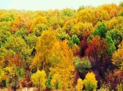 13 октября. Приметы дня