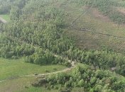 На Житомирщине ураган-смерч уничтожил 100 гектаров леса