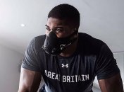 Джошуа - Паркер: гонорары боксеров