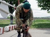 Пограничники отчитались о готовности к безвизу