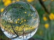 Контактные линзы совместят с ЖК-экраном (Видео)