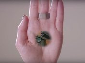 Оптическая иллюзия может создать дыру в ладони (Видео)