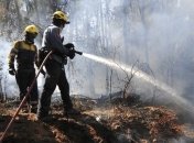 ЮНЕСКО: пожары Южной Европы угрожают объектам Всемирного наследия