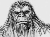 Ученые изъяли ДНК древнего человека из залежей в Денисовской пещере