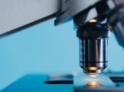 Создан "искусственный лист", который превращает солнечный свет в синтетическое топливо