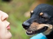 Ветлечебница для… человека