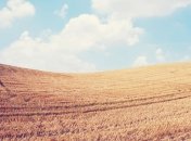 Прогноз погоды на 29 августа: в Украине сохранится жаркая погода