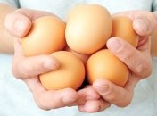 Ученые вывели кур, яйца которых помогают в лечении рака