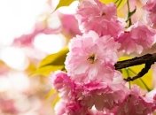 Как узнать в Пасху, какой будет весна?