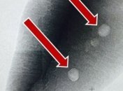 Жизнь на Земле появилась на 300 млн лет раньше, чем считалось 