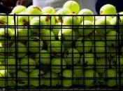 Сегодня украинцы стартуют на US Open-2015