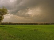 Прогноз погоды на 3 мая: переменная облачность, местами дожди и грозы