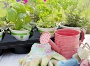 Ларион Пропольник: народные приметы и запреты 19 июня