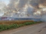 На Донбассе выгорело 60 га пшеницы