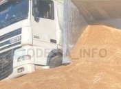 Фура с зерном, перевернувшись, заблокировала трассу "Киев - Одесса" (видео момента)