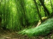 В Украину идет жаркое лето 