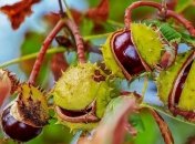 Грозы, дожди и осенняя прохлада: какой будет погода в пятницу