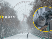 У Харкові очікується сніг та заморозки
