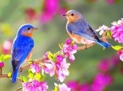 Ученые: Растения чувствуют весну с помощью биохимического "термометра"