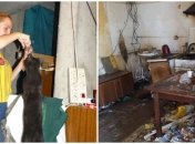 В России горе-мать растила дочерей с 19 котами: младшая не говорит и отзывается на "кис-кис" (фото)