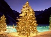 Золотая елка всего за $4,2 миллионов